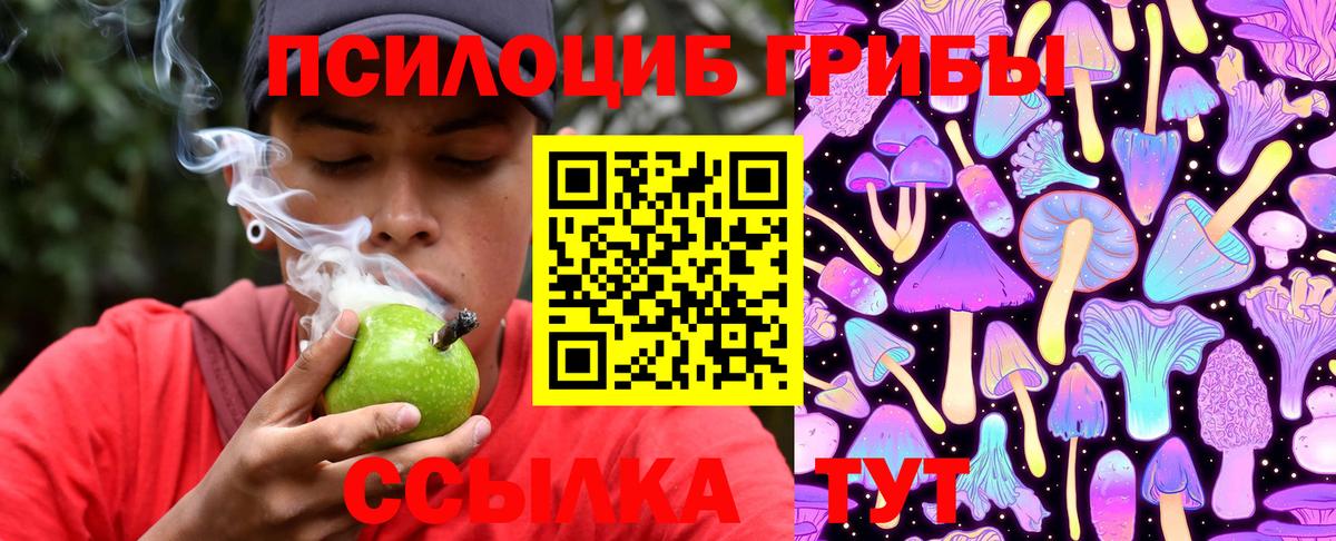 Кыштым  Псилоцибиновые грибы мицелий  Галлюциногенные грибы Psilocybe  Вход с VPN 